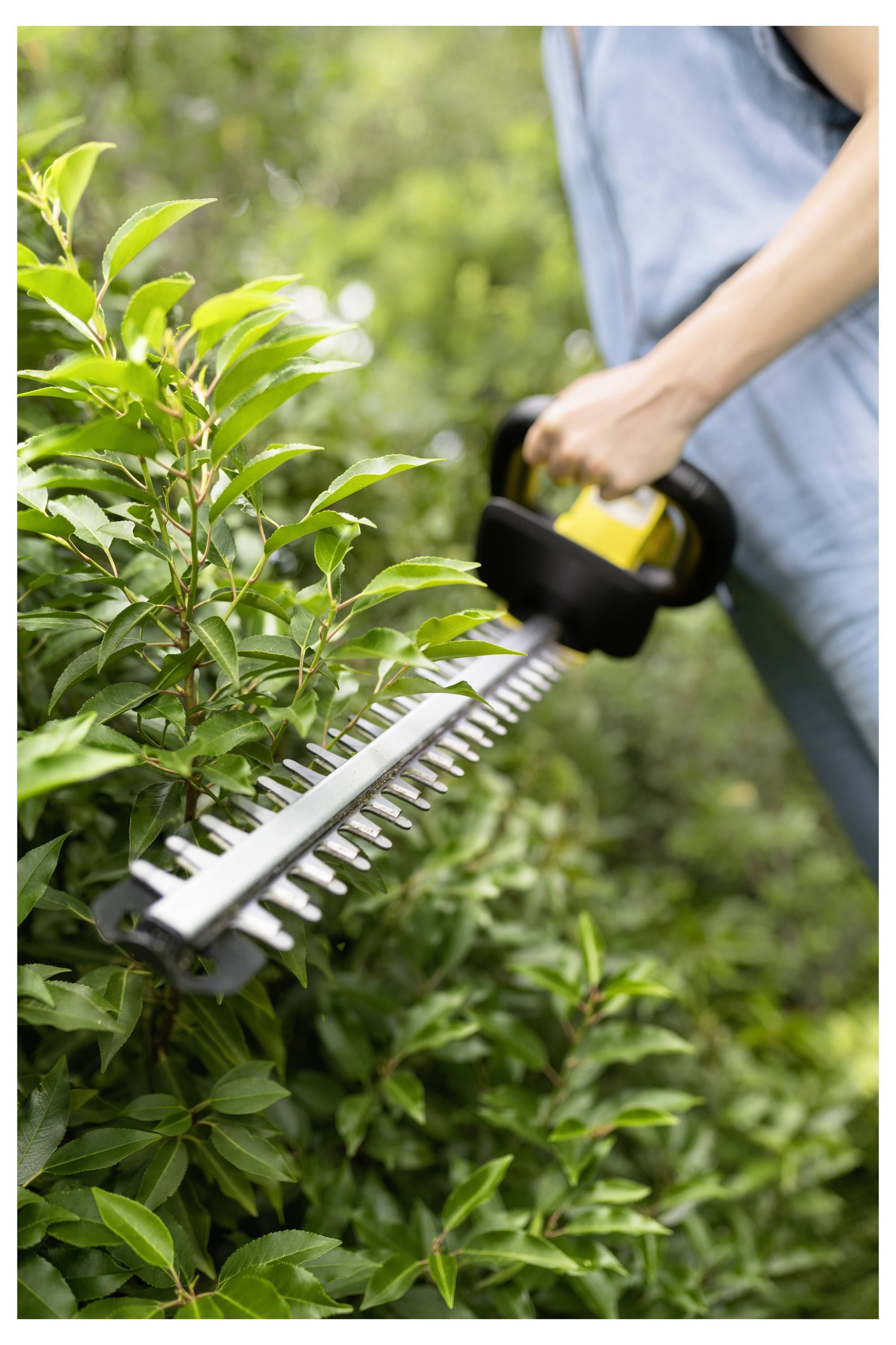 A person is trimming green hedges with an electric hedge trimmer, focusing on shaping the bushes. The background shows more greenery.