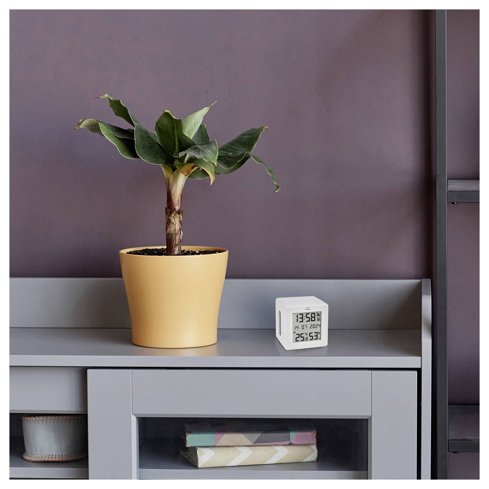 A potted plant with broad green leaves sits on a gray cabinet beside a digital cube clock displaying time, date, and temperature.