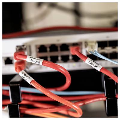 Ethernet cables labeled 'LAN-127,' 'LAN-298,' and 'LAN-85' are connected to a network switch, creating an organized network setup.