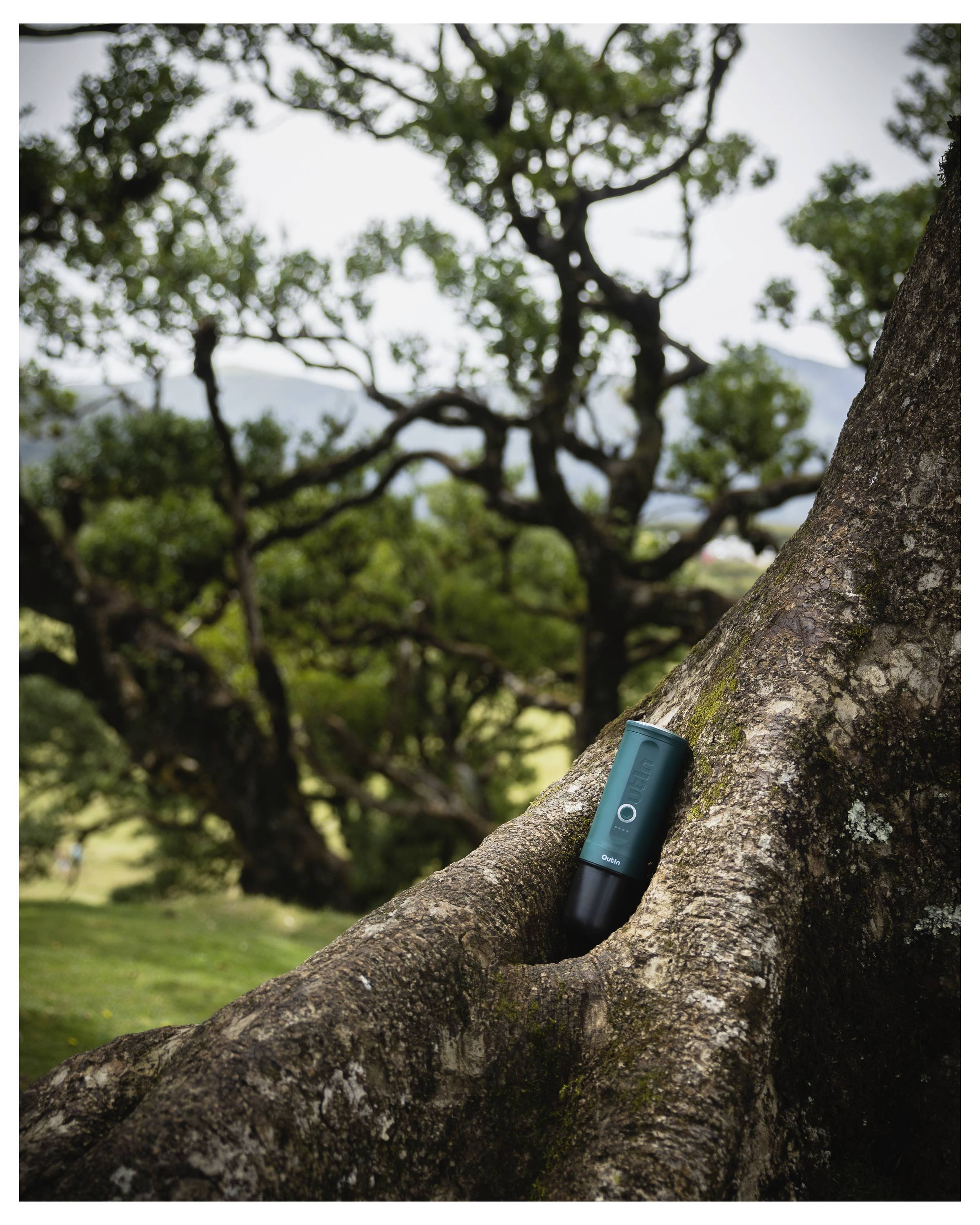 A teal and black thermos is placed in the hollow of a large tree trunk in a lush, green park setting. Trees and hills are visible in the background.