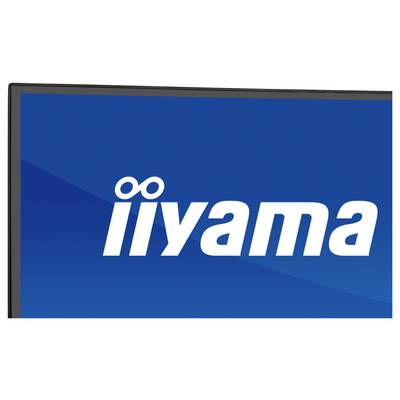 A monitor bezel with the 'iiyama' logo on a blue background.