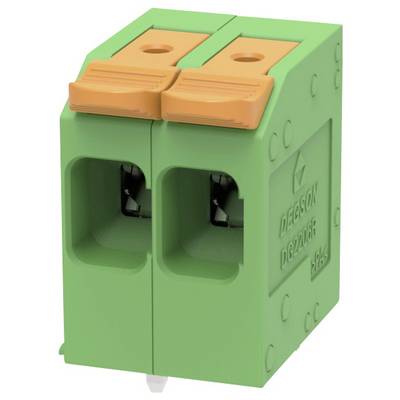 Green two-position electrical terminal block with orange lever clamps and two wire openings, shown in close-up.