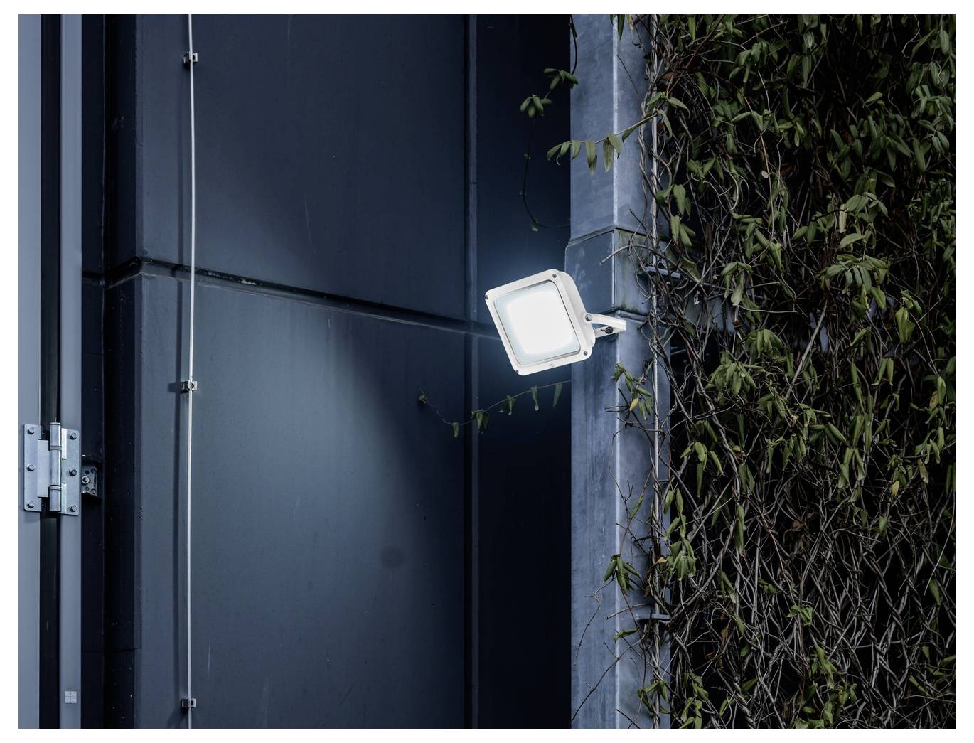 A square LED floodlight is mounted on a dark wall, illuminating nearby climbing plants.