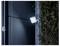 A square LED floodlight is mounted on a dark wall, illuminating nearby climbing plants.