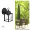 'Black outdoor lantern with clear glass panels and Edison bulb mounted on wall, blurred green garden background.'