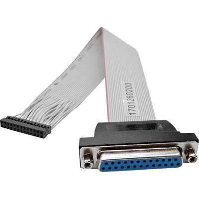 A gray ribbon cable with a blue 25-pin connector on one end and a 20-pin black connector on the other, used for electronic data transfer.