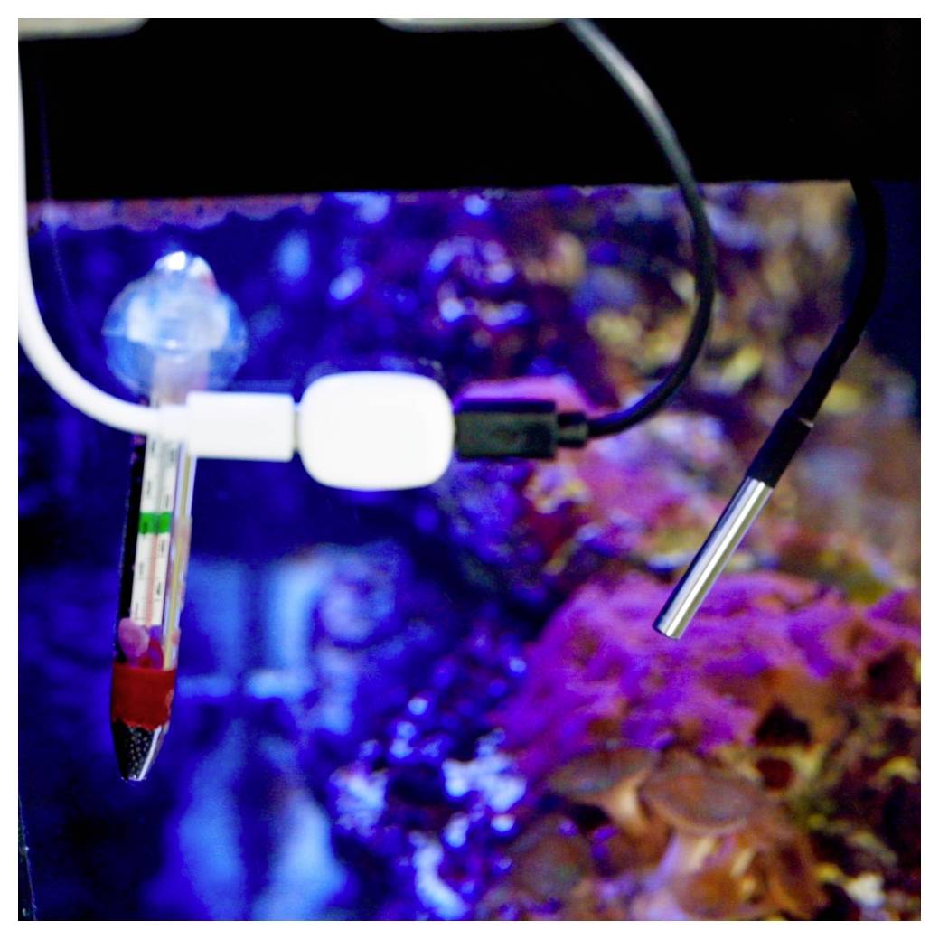 Aquarium setup showing sensors and cables immersed in water above colorful corals, monitoring environmental conditions.