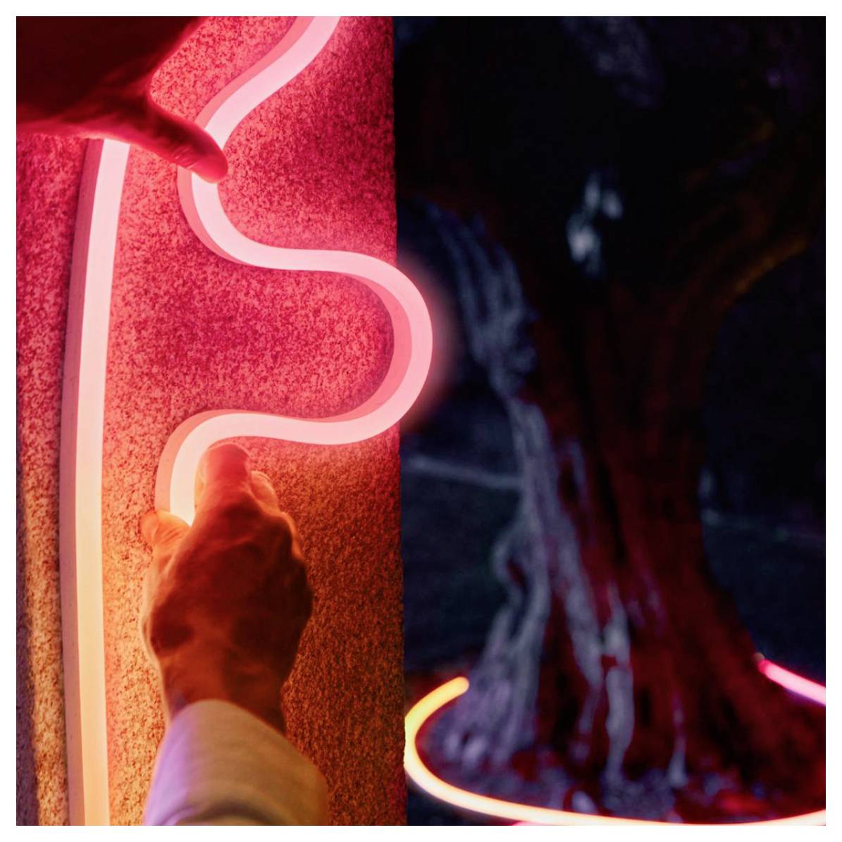 A person adjusts a pink neon light on a textured surface, creating a curved design. Background features a dimly lit tree with circular lighting.