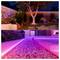 'A backyard with a large tree and glowing pink garden lights, featuring stepping stones and a modern pool area with pink-lit pebbles.'