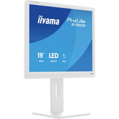 '19" LED monitor, ProLite B1980S model by iiyama, with adjustable stand. Features include 38cm screen size and 15cm height adjustment.'
