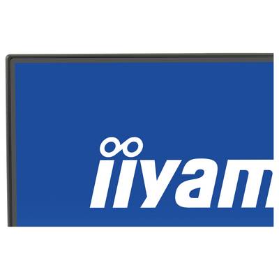 A partial view of a screen displaying the brand logo 'iiyama' against a blue background.