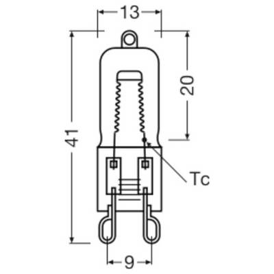 'Illustration of a light bulb with dimensions: height 41mm, diameter 13mm at the top, and 9mm at the bottom. Inner components labeled Tc.'