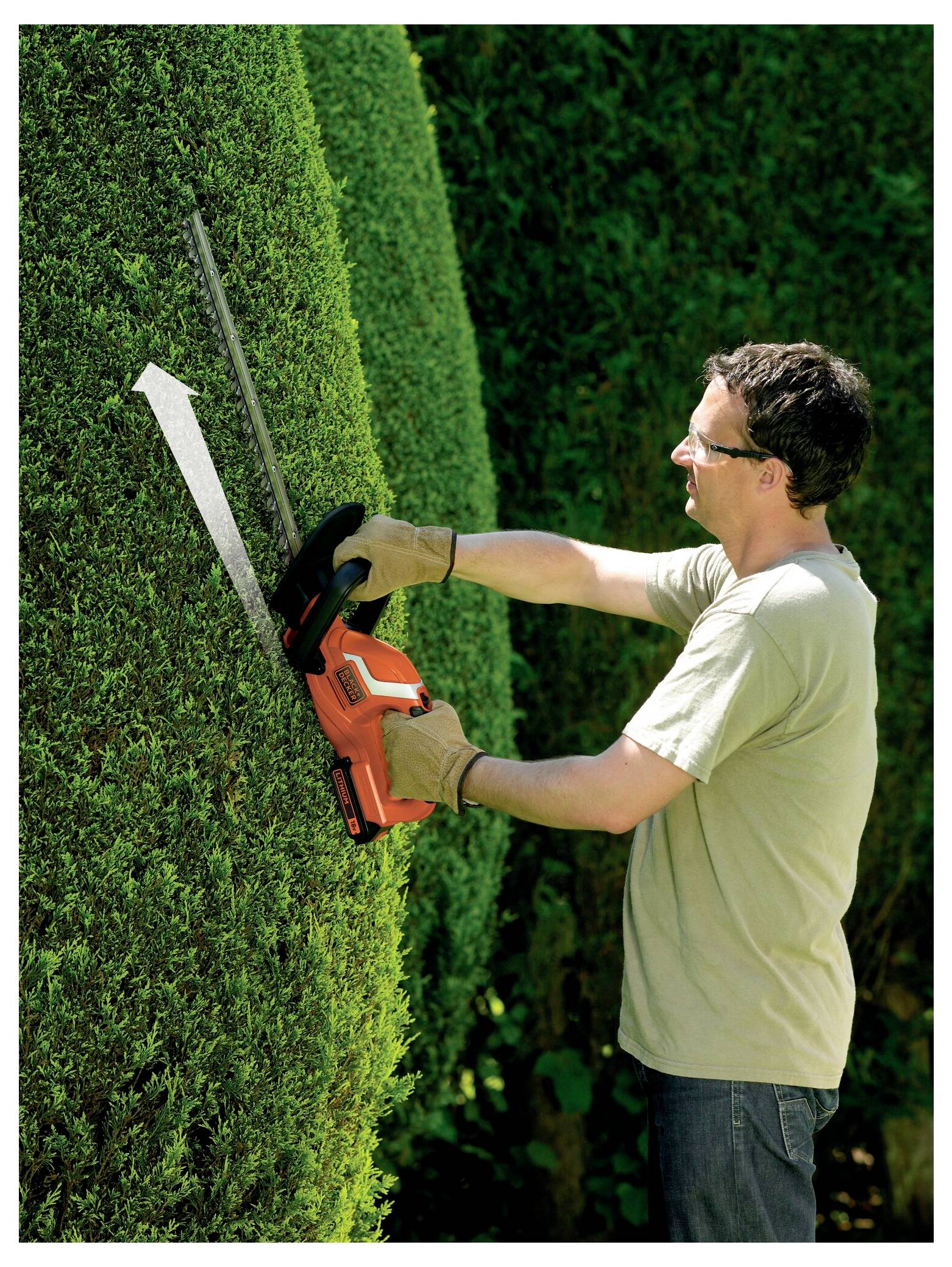 A person using an electric hedge trimmer to shape and cut a large green hedge outdoors. An arrow indicates the direction of trimming.