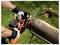A person using an orange and black chainsaw to cut through a large log on a metal sawhorse in a grassy yard.