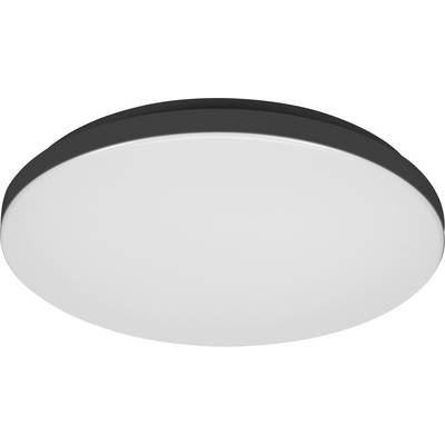 A circular ceiling LED light fixture with a white diffuser and a black rim. Suitable for modern home or office interiors.