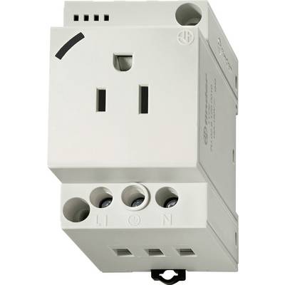 A white electrical wall outlet with a plug socket and terminals labeled 'L1' and 'N' for wiring connections, designed for mounting.