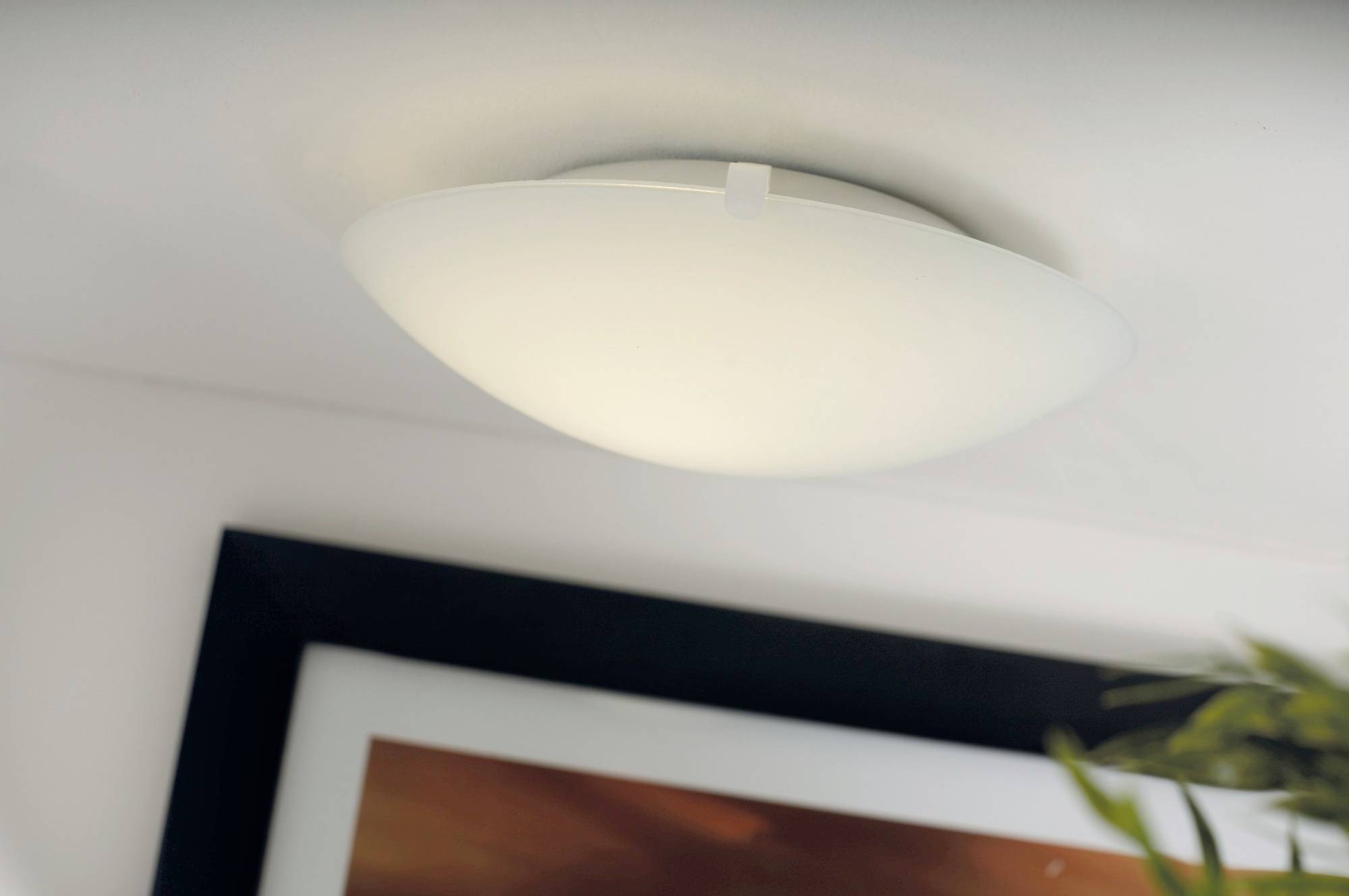 A ceiling-mounted, dome-shaped light fixture is illuminated in a modern interior setting, partially above a framed artwork and greenery.