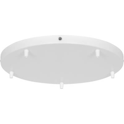 A round, white ceiling mount plate with five protruding pegs and a central hole, likely used for attaching a fixture, viewed from below.