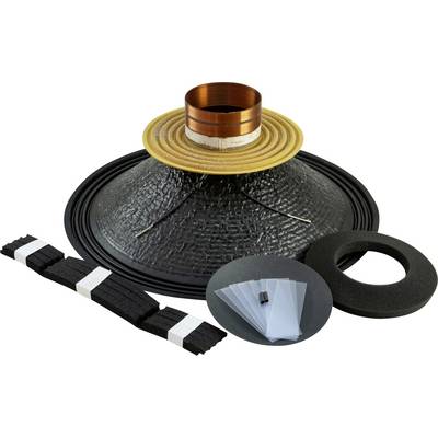 Audio speaker repair kit including a cone, voice coil, foam surrounds, gaskets, and shims, designed for refurbishing and improving sound quality.