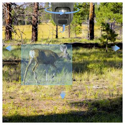 A deer walks through a grassy, wooded area. Blue arrows and a camera above indicate the direction of its movement and observation.