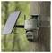 A wildlife camera with a solar panel attached to a tree, designed for outdoor monitoring and remote video capturing via solar power.