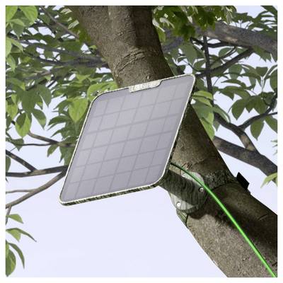 A solar panel is mounted on a tree branch with a green wire connected to it, surrounded by green leaves under daylight.