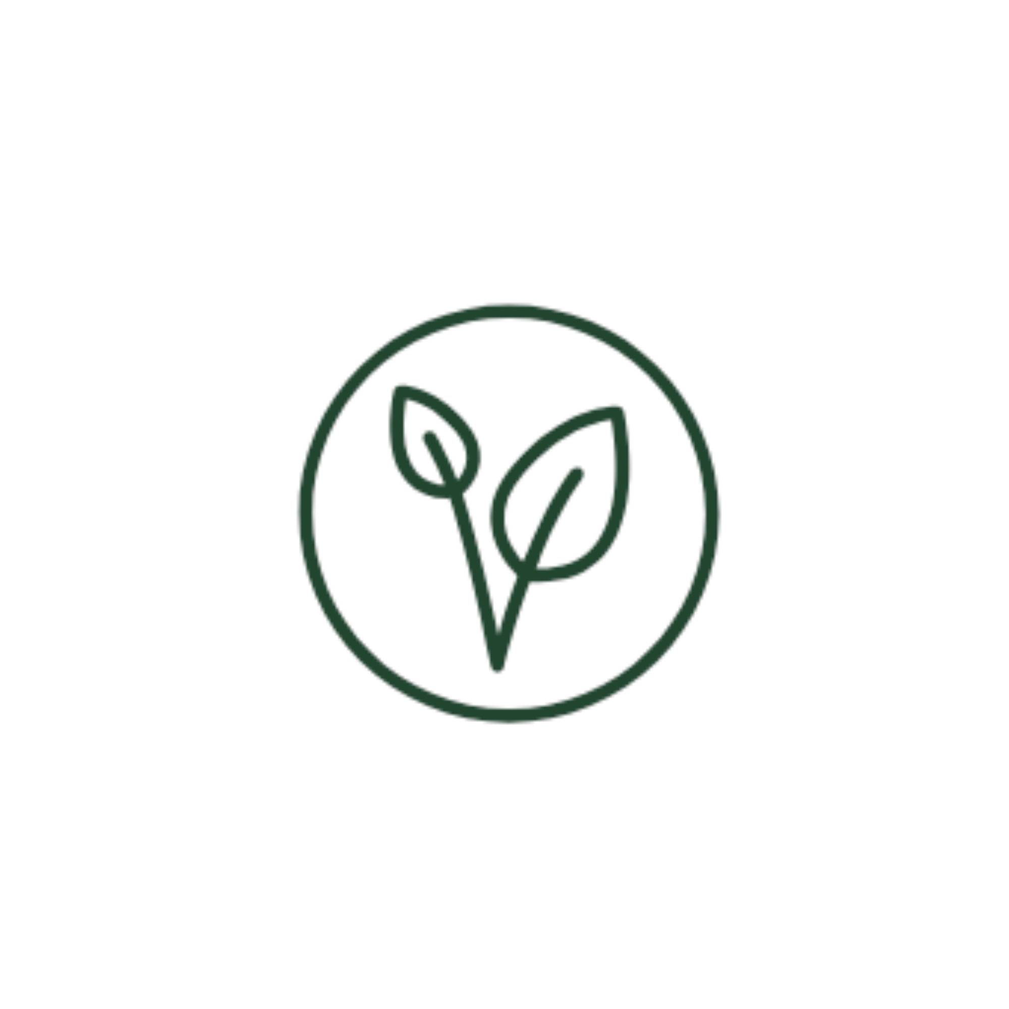A simple green icon of two leaves within a circle, symbolizing eco-friendly or plant-based concepts.