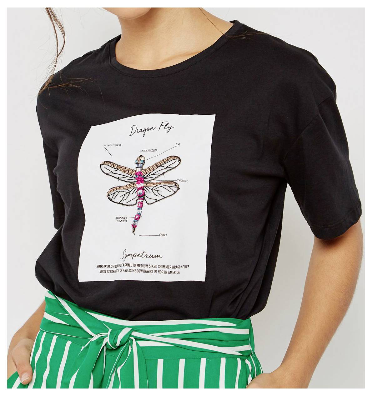Person wearing a black T-shirt with a centered white dragonfly illustration and the text 'Dragon Fly' and 'spectrum' above and below it.<br>