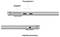 Two side views of a laptop show ports: at the top Thunderbolt 4 and MagSafe, at the bottom a headphone jack.