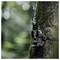 A camouflage trail camera is strapped to a tree in a forest, likely for wildlife monitoring. The background is blurred foliage.