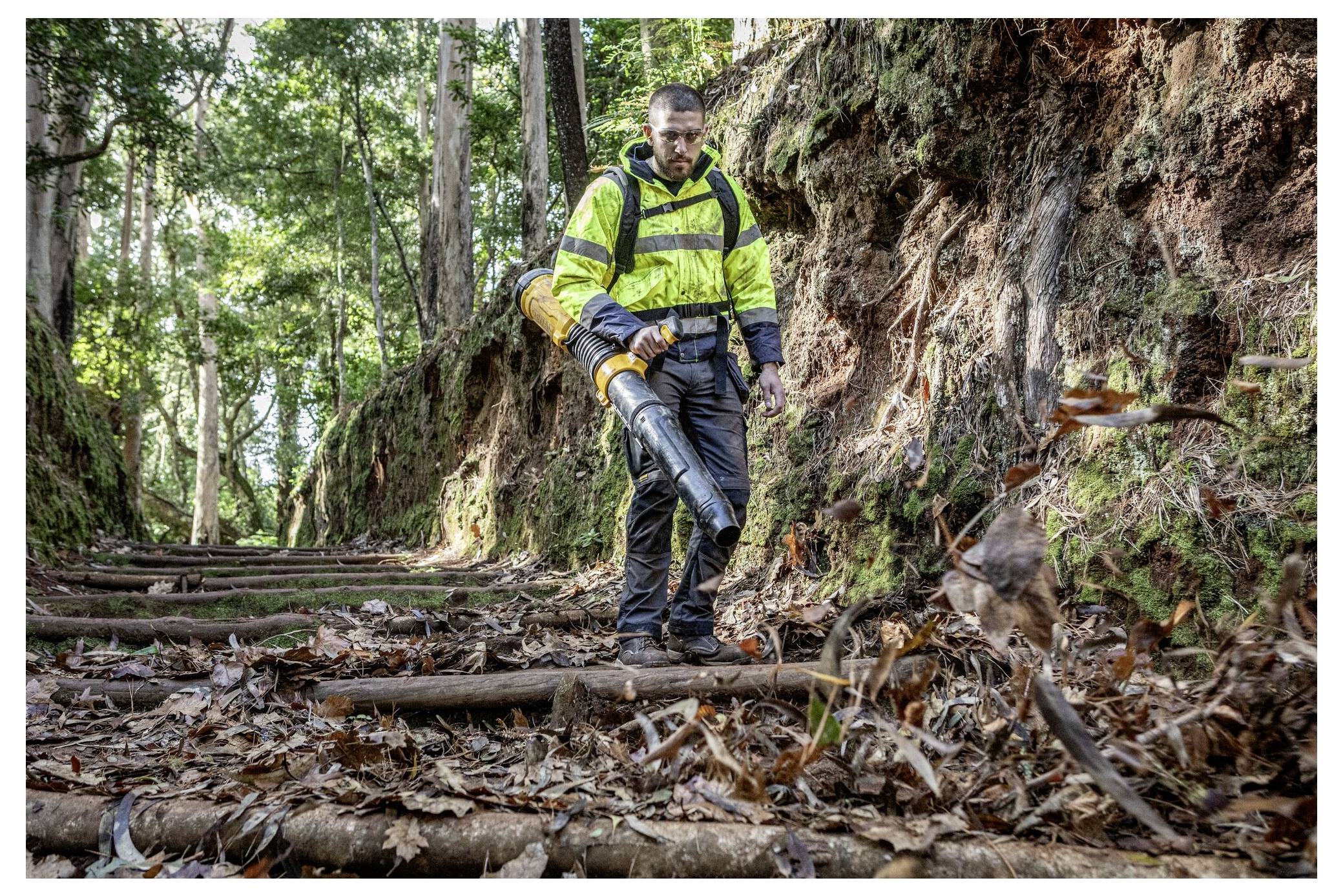 A man in a yellow safety jacket uses a leaf blower to clear a forest path covered in leaves and surrounded by tall trees.