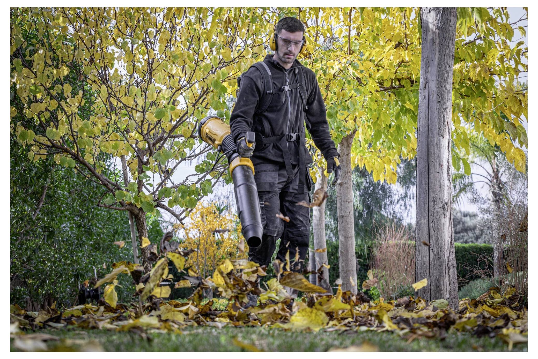 A person using a leaf blower to clear fallen leaves from a garden, surrounded by trees with yellow autumn foliage.
