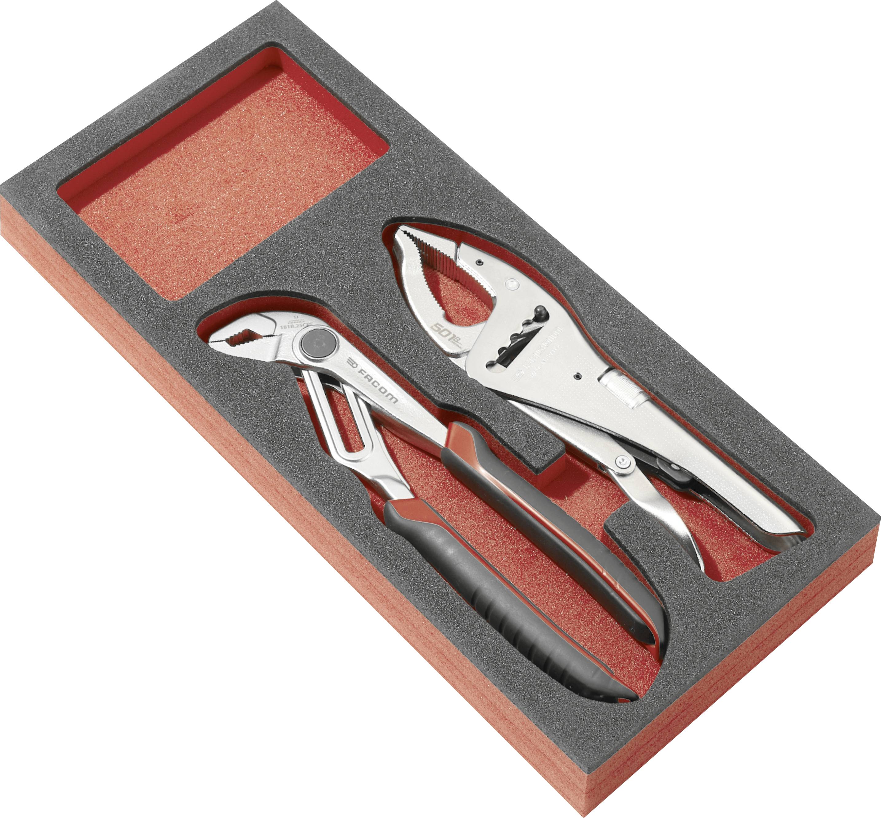 Two adjustable locking pliers in a foam-lined red-and-black storage case.
