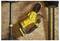 A yellow and black power tool is placed on a wooden surface between two long tools, likely part of a workshop or garage setting.