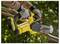 Person using a yellow cordless chainsaw to cut a tree branch outdoors, with sawdust flying. The scene conveys outdoor work activity.