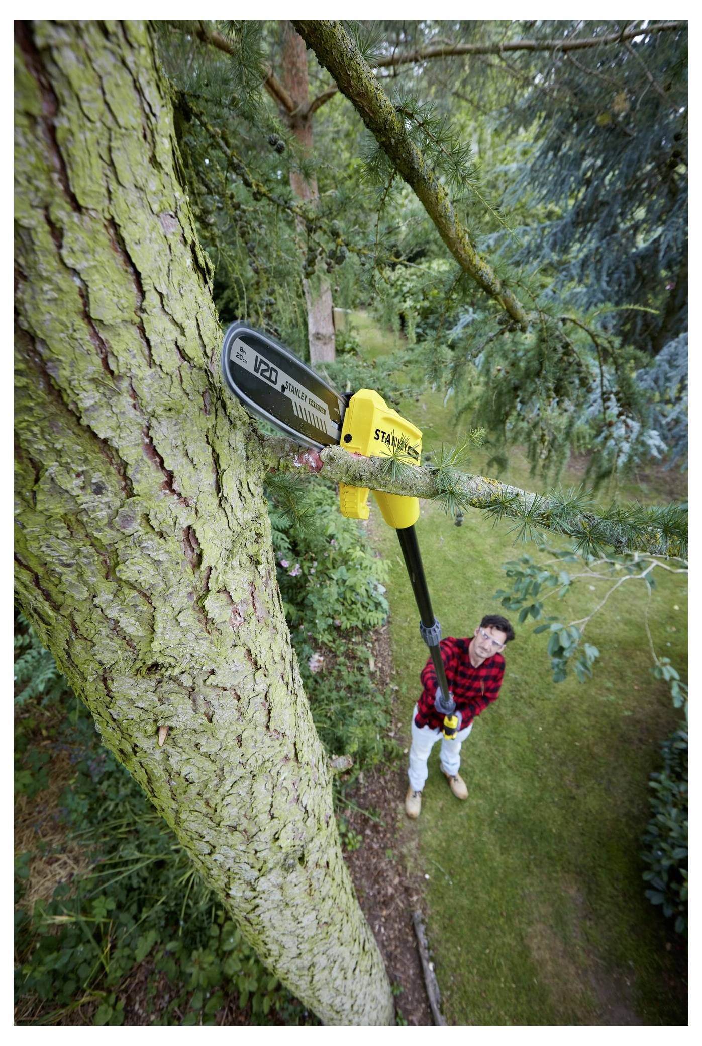 A person in a red checkered shirt uses a pole chainsaw to trim branches from a large tree in a lush garden, standing on a green lawn.