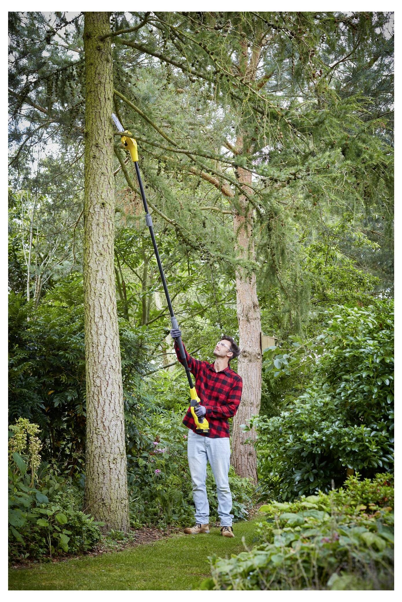 A person in a red plaid shirt uses a pole saw to trim branches from a tall pine tree in a lush, green garden setting.