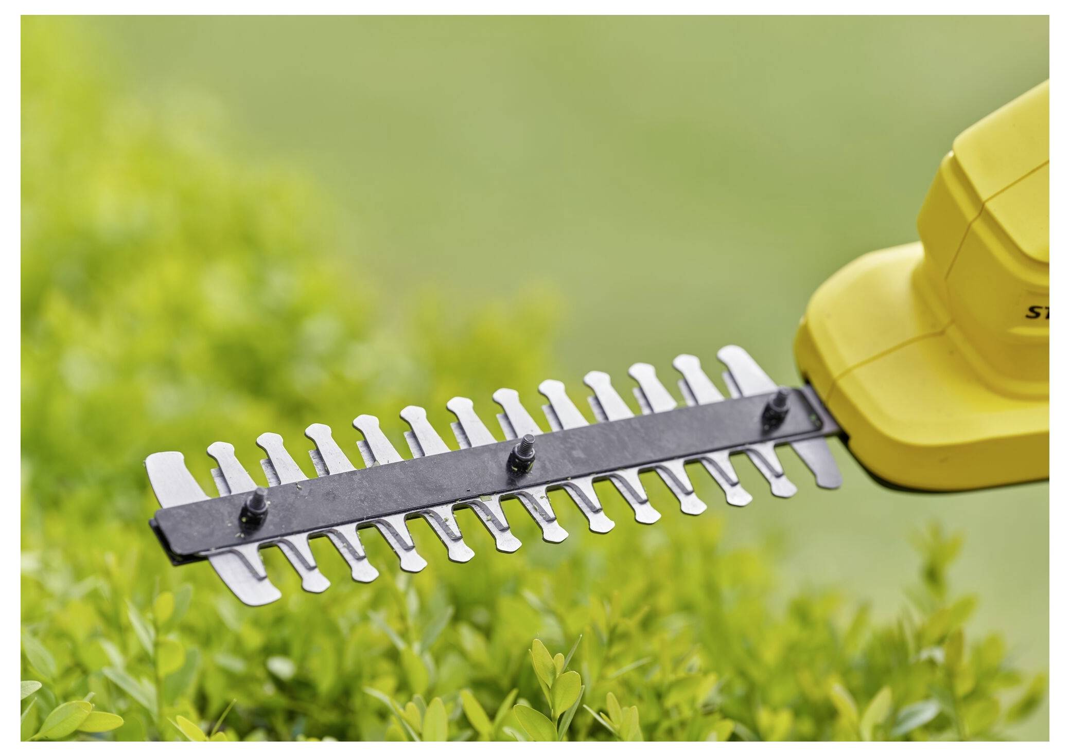 A hedge trimmer with sharp, metal blades in motion, trimming green leaves. The tool is yellow, highlighted against a blurred background of greenery.