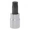 A silver socket with a black Torx bit attached, used for driving screws or bolts with a star-shaped Torx head.
