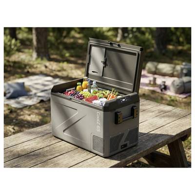 Open gray portable cooler on a picnic table, filled with fresh fruit, vegetables, drinks, and snacks outdoors.
