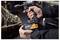 Close-up of hands using a DeWalt 18V cordless impact wrench with McLaren battery to tighten or loosen a vehicle part in a garage.