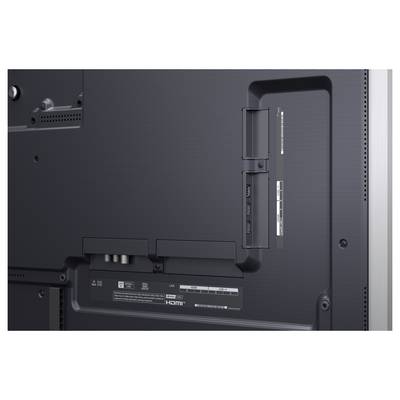 Back of a TV showing the recessed port panel with HDMI and other input connectors, plus wall-mount attachment points.