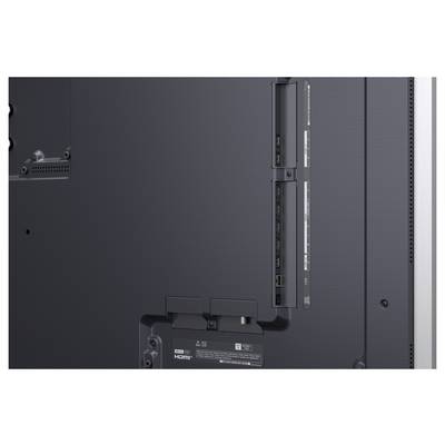 Back view of a flat-screen TV showing rear ports, mounting points, and label panels on a dark gray casing.<br>