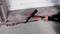 Person using a pry bar to chip away cracked concrete at the base of an exterior wall or window sill.<br>