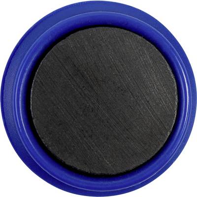 Small black circular button with a blue rim on a plain white surface.