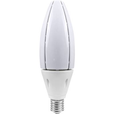 White LED light bulb with a screw base, shown upright on a plain background.