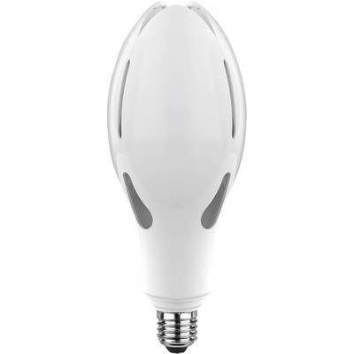 A white LED light bulb with a silver screw base, shown front view on a plain background.