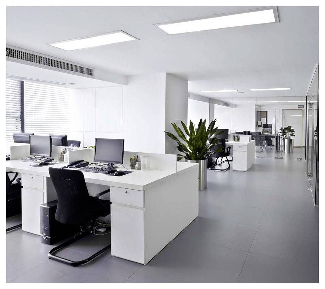 Bright modern open-plan office with white desks, computer workstations, plants, and glass-walled meeting area in the background.