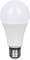 A white LED light bulb with a frosted dome and silver screw base on a plain background.