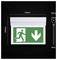 Emergency exit sign in a white wall-mounted lightbox, showing a running person and downward arrow, with dimensions 310mm by 230mm and 35mm by 8mm.
